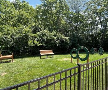 Dog park